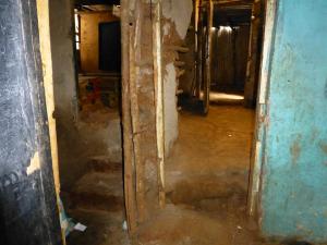 Classes 2-4 and orphans